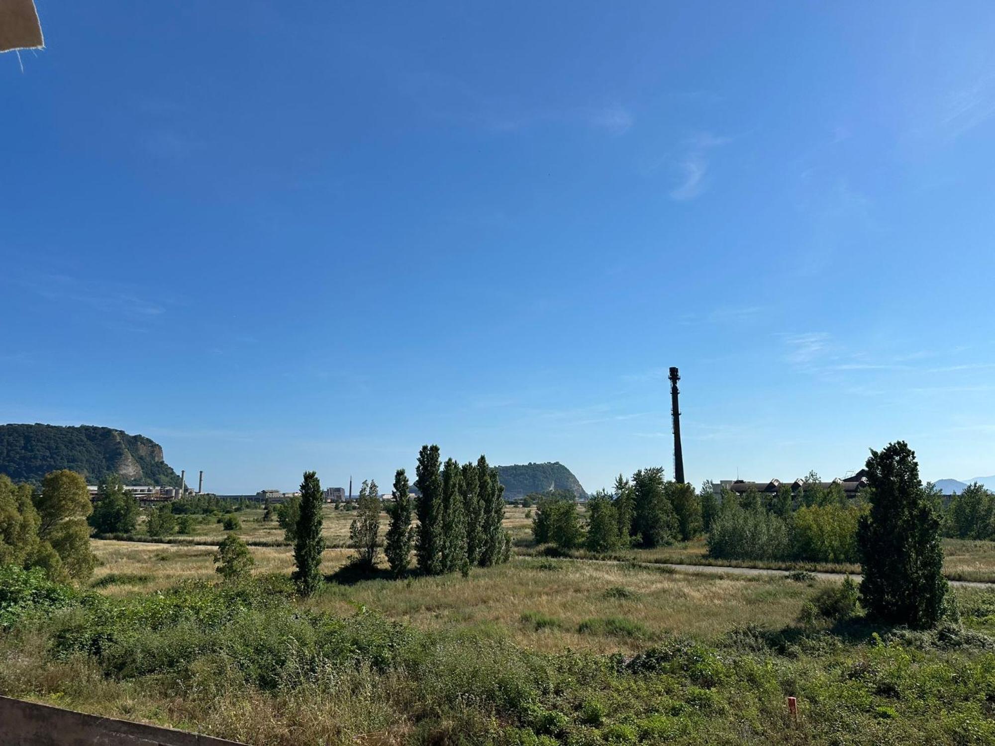 Paura