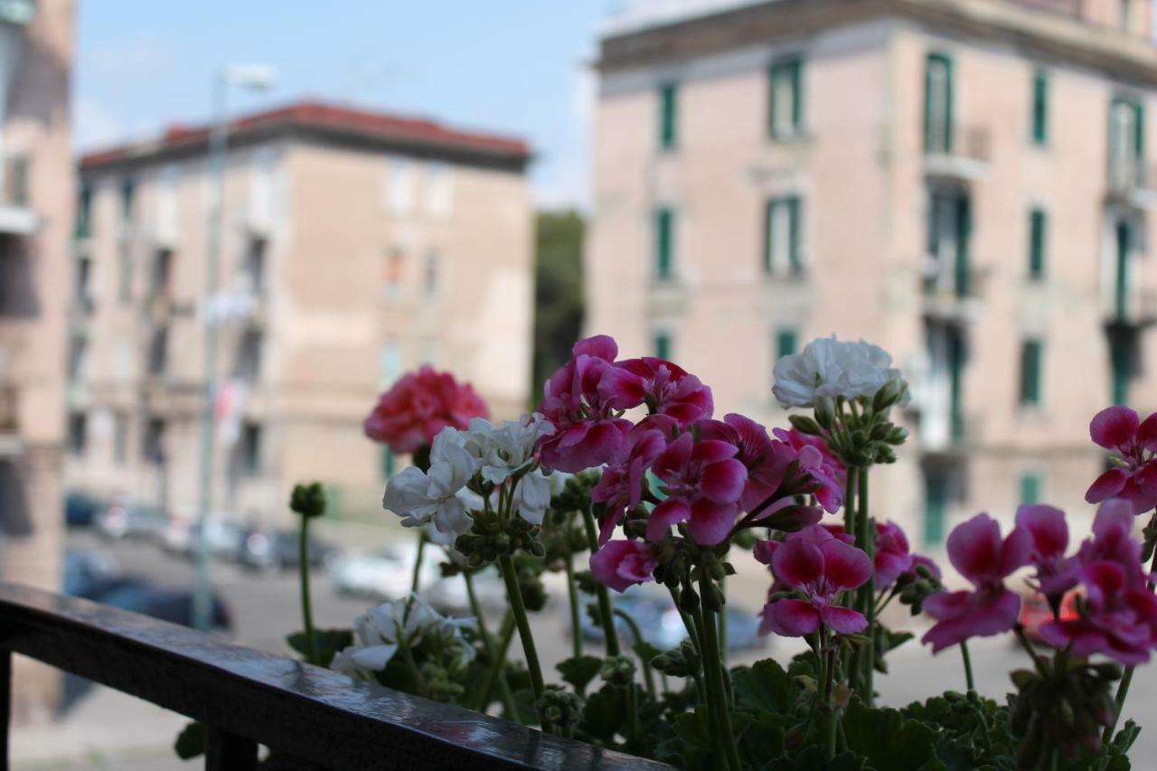 Bed & Breakfast Paura
